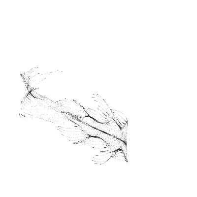 Monochrome generative point study “Ribbon Nautilus,” a mathematical form rendered in black and white.