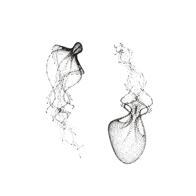 Monochrome generative point study “Spiral Jelly,” a mathematical form rendered in black and white.