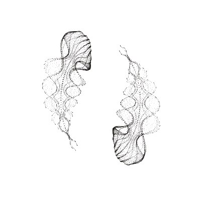 Monochrome generative point study “Orbital Anemone,” a mathematical form rendered in black and white.