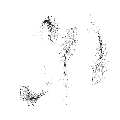 Monochrome generative point study “Tendril Fan,” a mathematical form rendered in black and white.
