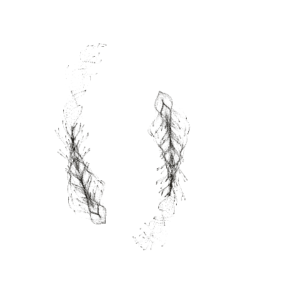 Monochrome generative point study “Slow Petal,” a mathematical form rendered in black and white.