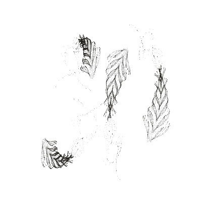 Monochrome generative point study “Sine Anemone,” a mathematical form rendered in black and white.
