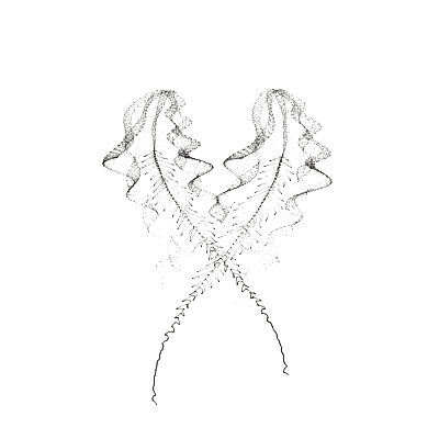 Monochrome generative point study “Angular Medusa,” a mathematical form rendered in black and white.