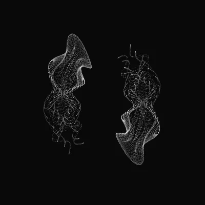 Monochrome generative point study “Coil Blossom,” a mathematical form rendered in black and white.
