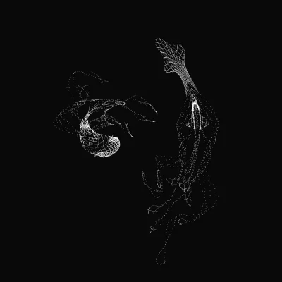 Monochrome generative point study “Soft Twins,” a mathematical form rendered in black and white.